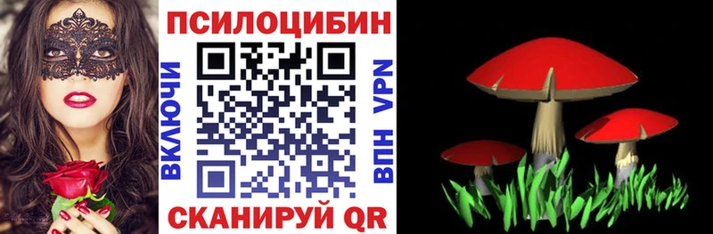 Галлюциногенные грибы Cubensis  darknet формула  Бутурлиновка  где найти наркотики 