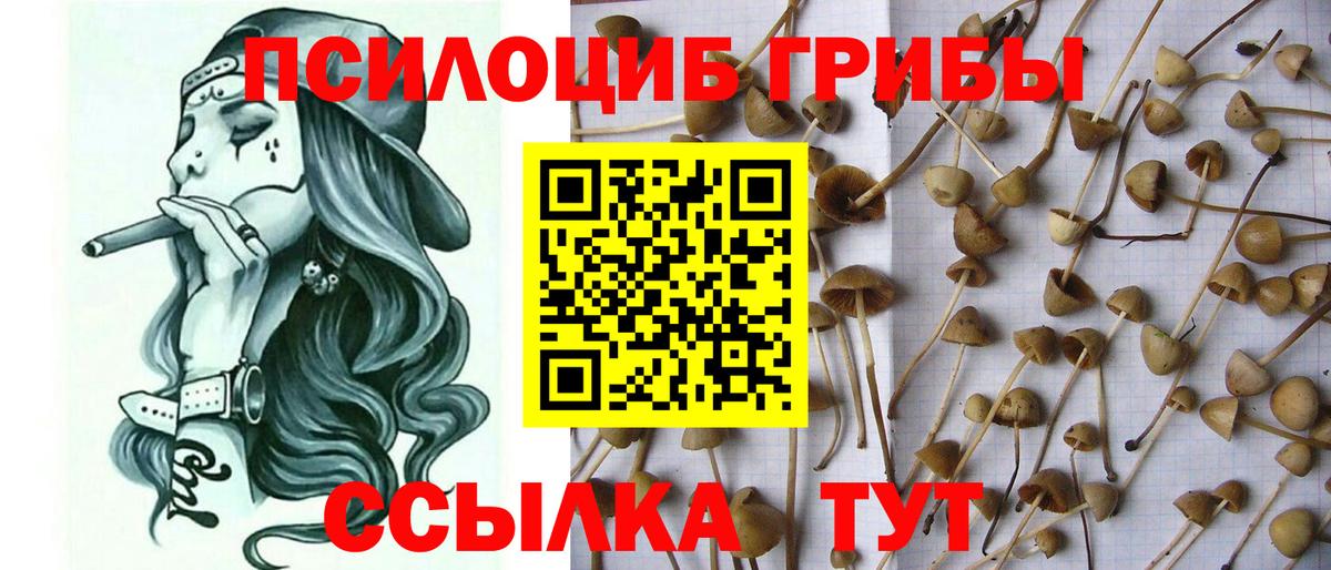 Галлюциногенные грибы ЛСД Бутурлиновка