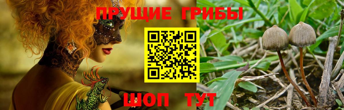 как найти закладки  Галлюциногенные грибы мицелий  Вход с VPN  Бутурлиновка 